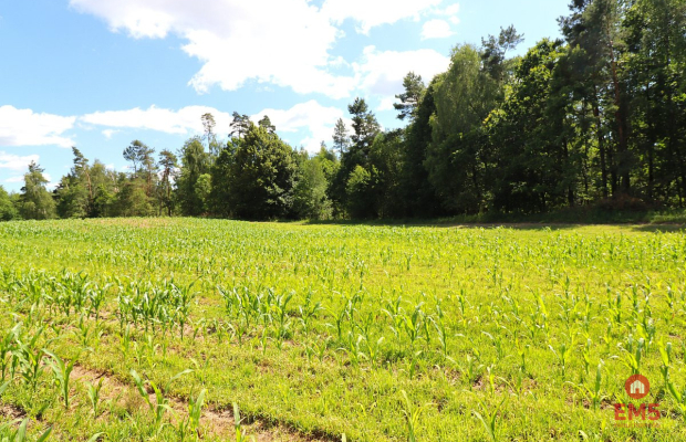 Działka budowlana na Mazurach Rożyńsk Wielki
