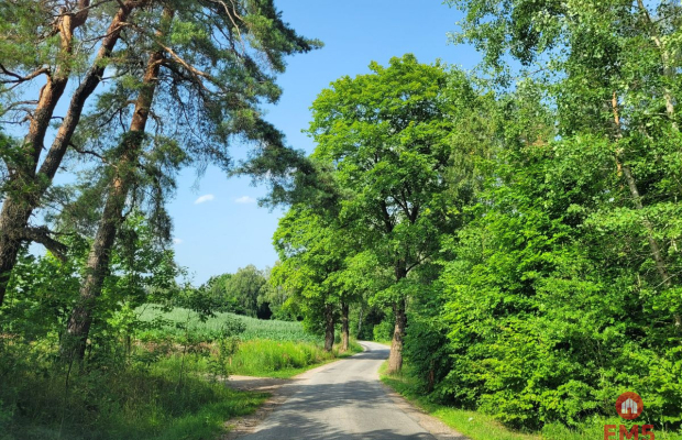 Mazury, jezioro Garbas, duża działka.