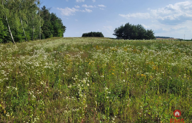 Mazury, jezioro Garbas, duża działka.