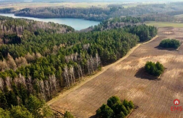 Mazury, jezioro Garbas, duża działka.