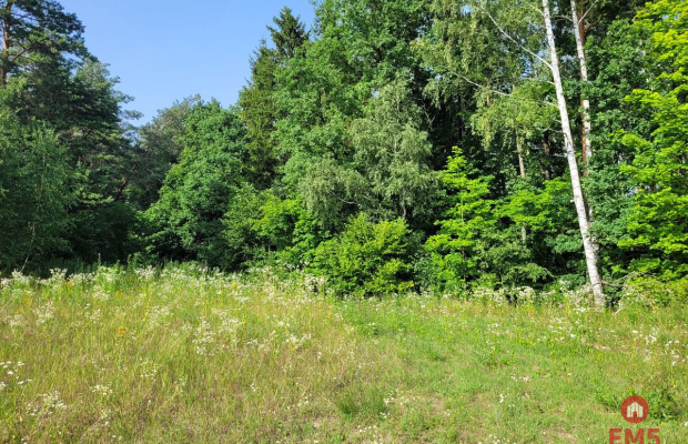 Mazury, jezioro Garbas, duża działka.
