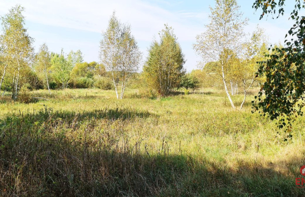 Ciasne. Działka budowlana 5100 m2.