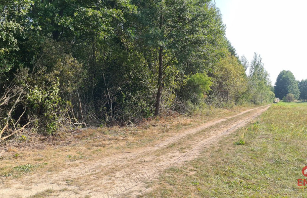 Ciasne. Działka budowlana 5100 m2.