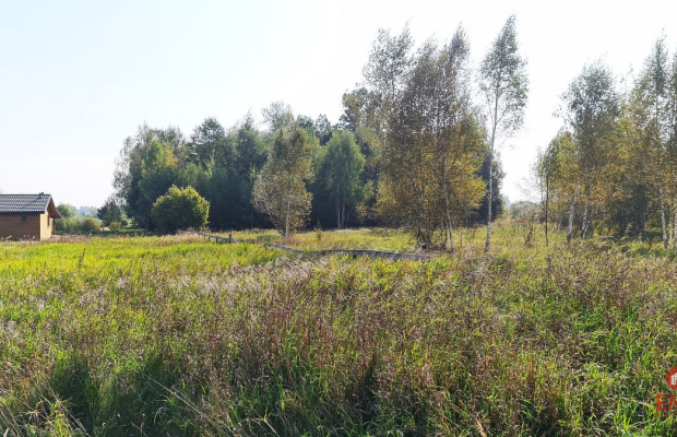 Ciasne. Działka budowlana 5100 m2.