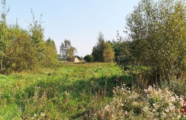 Ciasne. Działka budowlana 5100 m2.