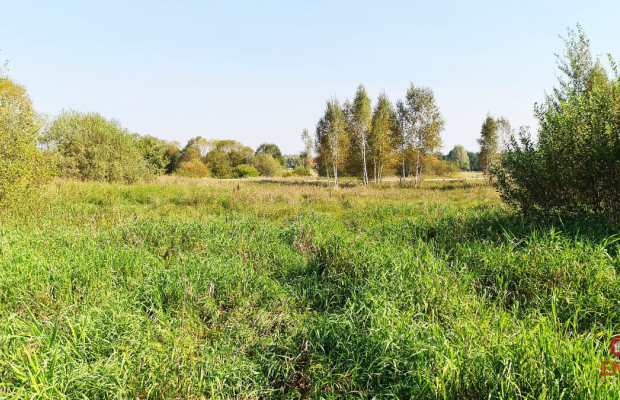 Ciasne. Działka budowlana 5100 m2.