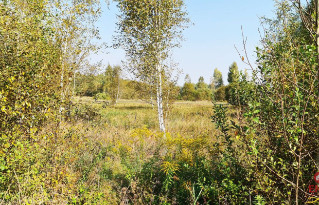 Ciasne. Działka budowlana 5100 m2.