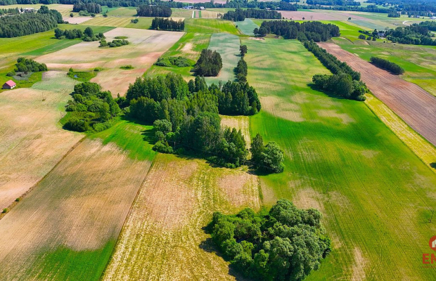 Działka nad jeziorem