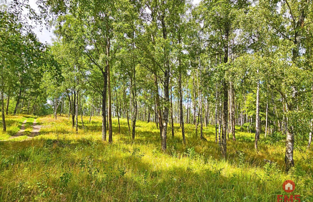 Działka budowlana blisko mazurskiego jeziora..