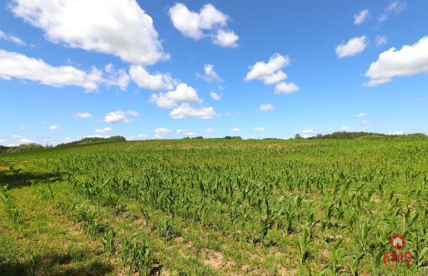 Działka budowlana na Mazurach Rożyńsk Wielki