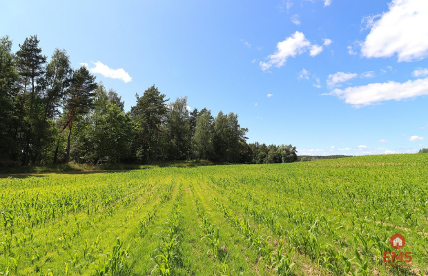 Działka budowlana na Mazurach Rożyńsk Wielki