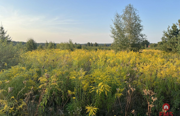 Ziemia pod uprawy blisko Hajnówki.