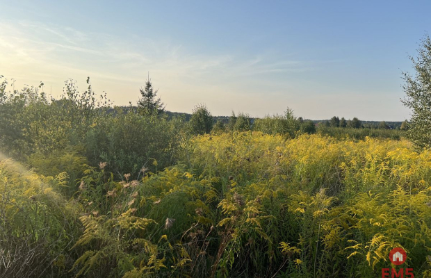 Ziemia pod uprawy blisko Hajnówki.