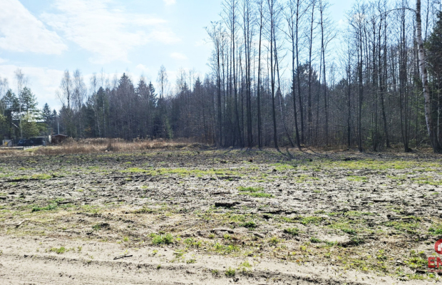 Działka budowlana pod lasem. 1085 m2