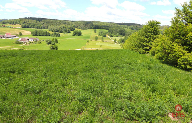 Działka rolno budowlana gmina Rutka-Tartak