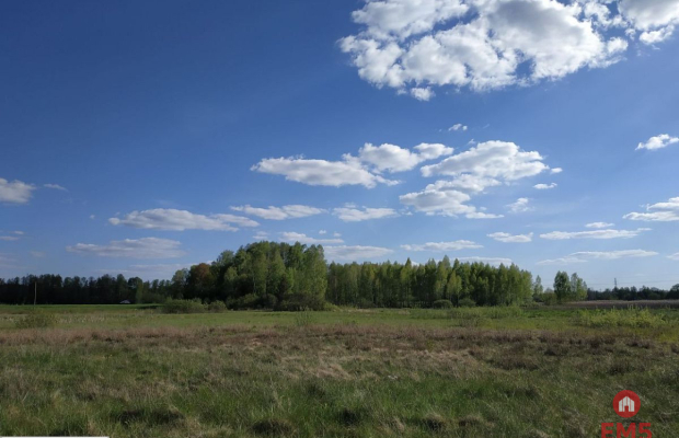 Działka inwestycyjna w pobliżu lasu.