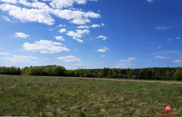 Działka inwestycyjna w pobliżu lasu.