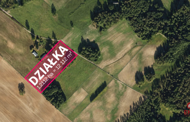 Działka rolna; Markiszki, Gmina Sejny