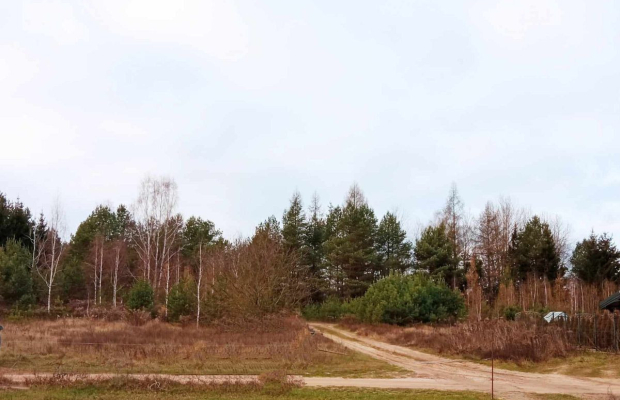 działka pod lasem blisko Białegostoku ze stawem