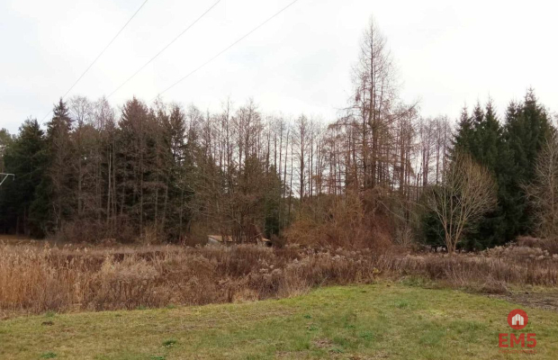 działka pod lasem blisko Białegostoku ze stawem