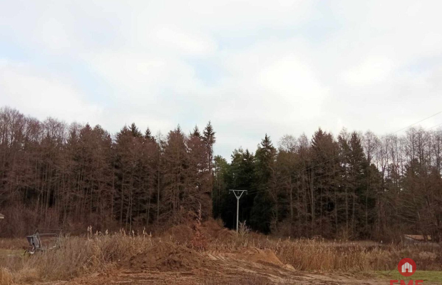 działka pod lasem blisko Białegostoku ze stawem