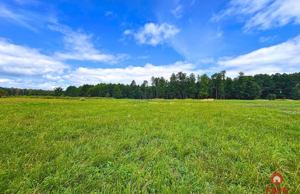 Pierwsza linia j. Harsz - działka budowlana.