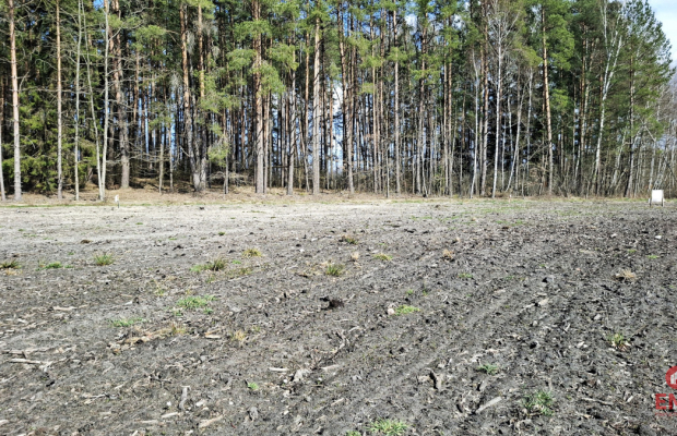 Działka budowlana 1183 m2. Solniczki.