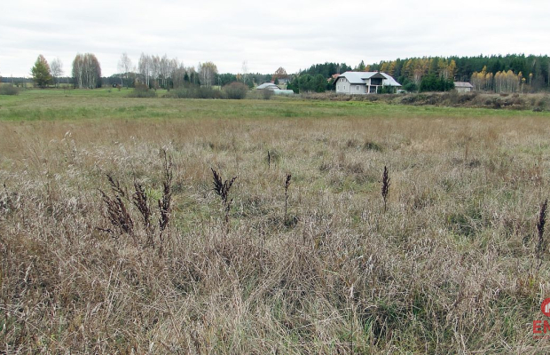 Działka rolno-budowlana 1,15 ha, Królowy Most