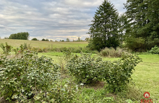 Nowodworce działka pod wymarzony dom lub inwestycj