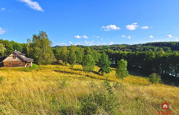 Działka budowlana pod usługi turystyczne - Mazury