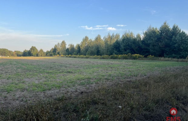 Działka rolna ok. 2 ha w gminie Czyże.