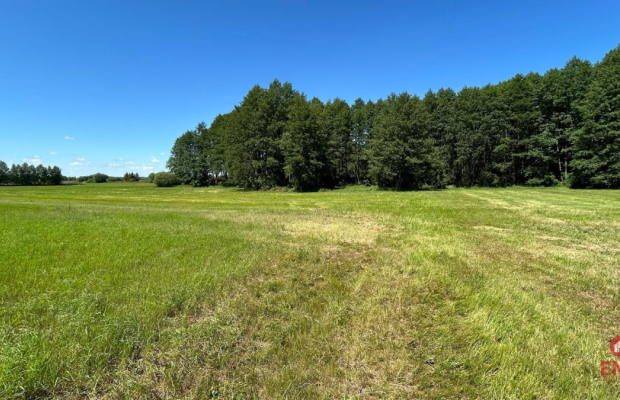 Działka rolno-budowlana 2,5 ha. Nowosiółki