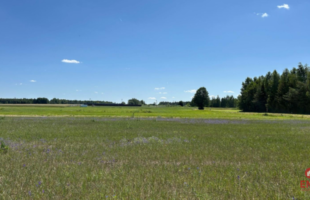 Działka rolno-budowlana 2,5 ha. Nowosiółki