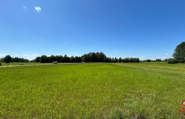 Działka rolno-budowlana 2,5 ha. Nowosiółki