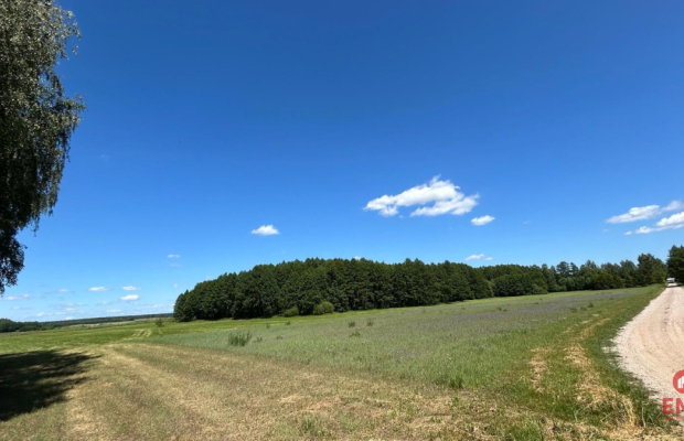 Działka rolno-budowlana 2,5 ha. Nowosiółki