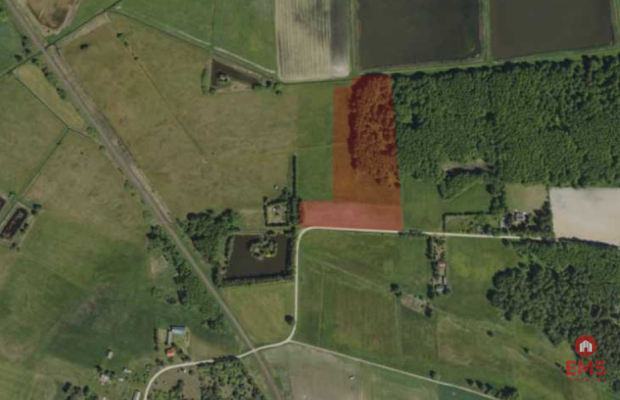 Działka rolno-budowlana 2,5 ha. Nowosiółki