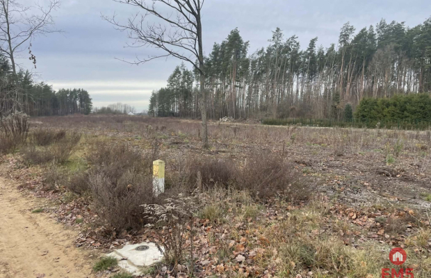 Działka pod lasem blisko Białegostoku