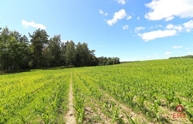 Działka budowlana na Mazurach Rożyńsk Wielki