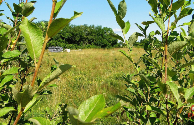 Działka budowlana 1458 m2