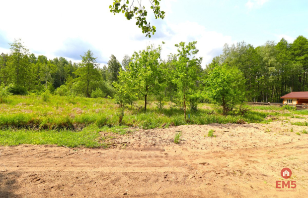 Działka w środku lasu