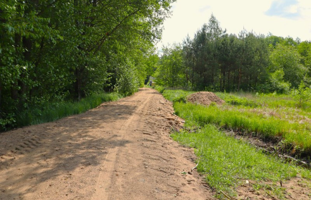 Działka w środku lasu