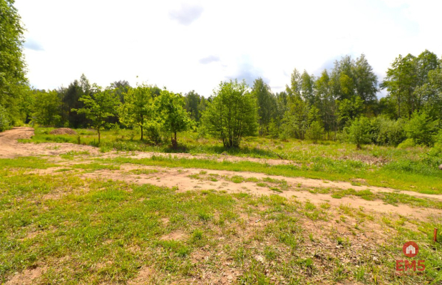 Działka w środku lasu