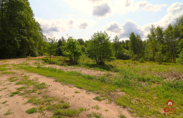 Działka w środku lasu