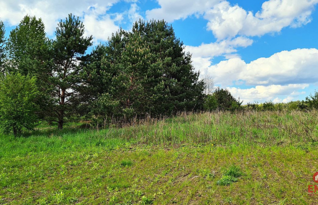 Działka rolno-budowlana 5528 m2