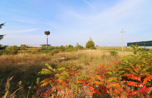 Działka usługowa w Augustowie