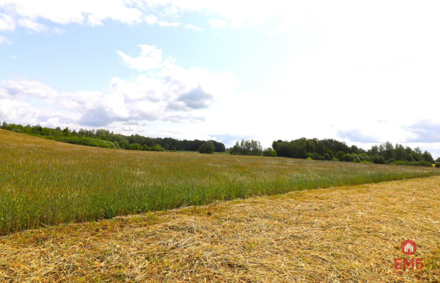 Działka rolno-budowlana Garbas II 5,5 ha