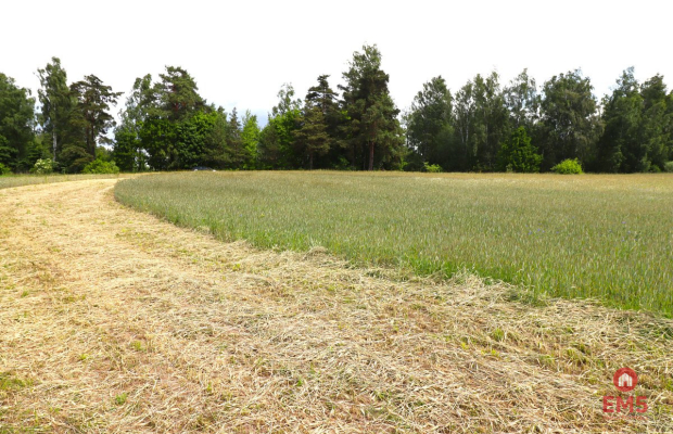 Działka rolno-budowlana Garbas II 5,5 ha