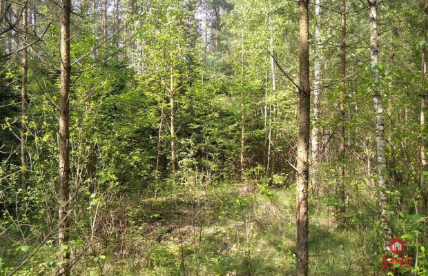 Działka idealna na domek.