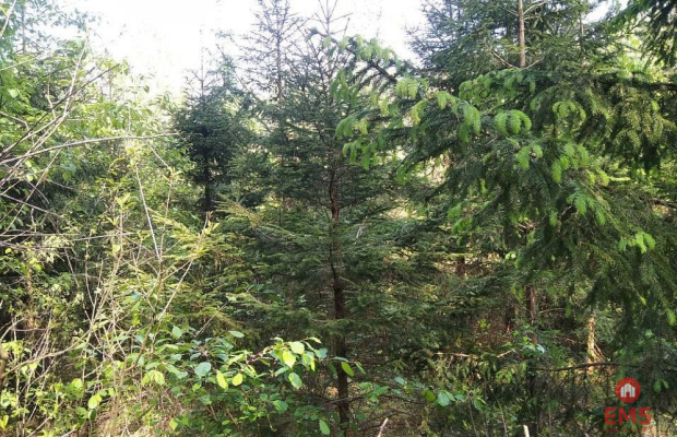 Działka idealna na domek.