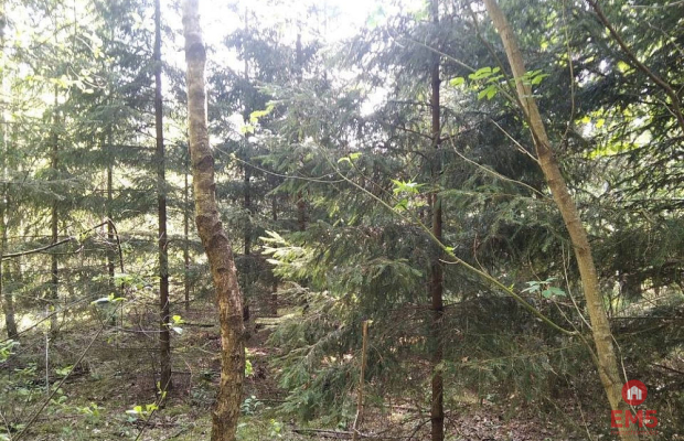 Działka idealna na domek.